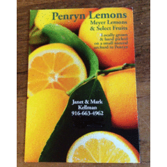 Janet and Mark Kellman