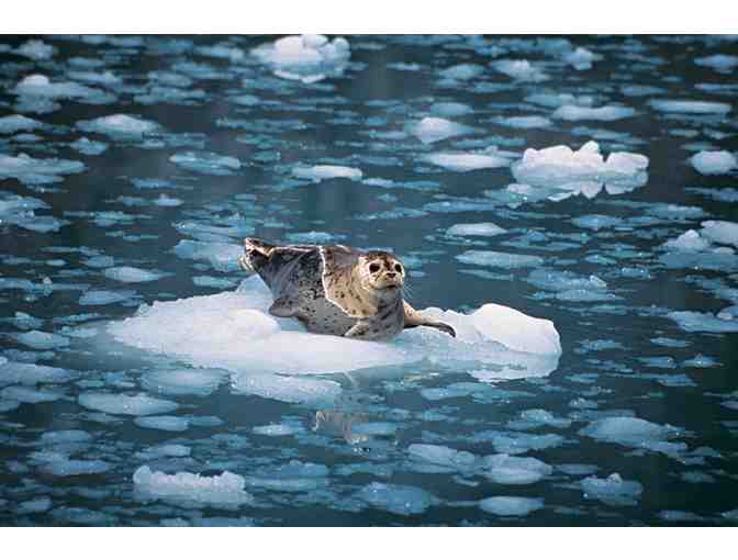 Experience Alaska's Majestic Frontier