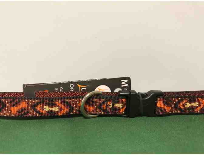 Dog Leash, Collar, and Treats