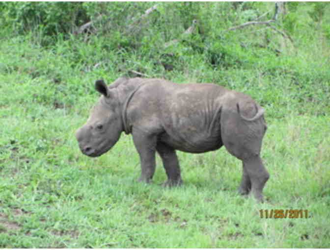 Once in a Lifetime Experience! A South African Photo Safari for 2 at Zulu Nyala Game Lodge