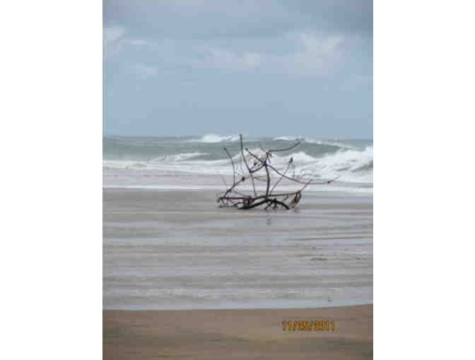 Once in a Lifetime Experience! A South African Photo Safari for 2 at Zulu Nyala Game Lodge