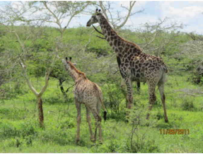 Once in a Lifetime Experience! A South African Photo Safari for 2 at Zulu Nyala Game Lodge