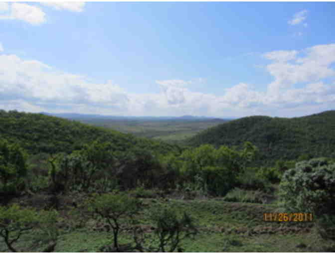 Once in a Lifetime Experience! A South African Photo Safari for 2 at Zulu Nyala Game Lodge