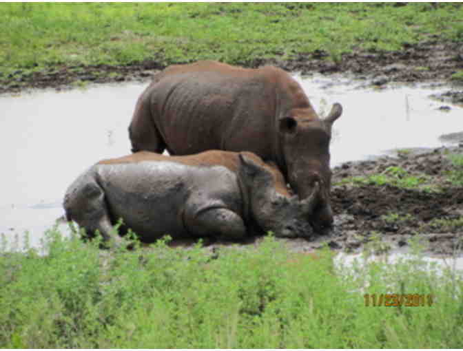 Once in a Lifetime Experience! A South African Photo Safari for 2 at Zulu Nyala Game Lodge