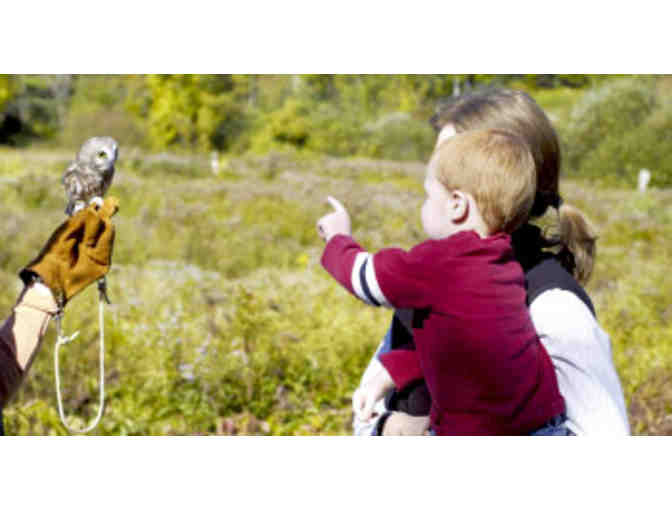 4 Trail Passes to Squam Lakes Natural Science Center