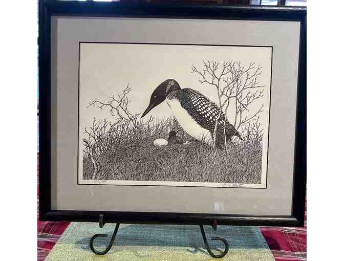 "Loon and Chick" by Gene Matras - Photo 4