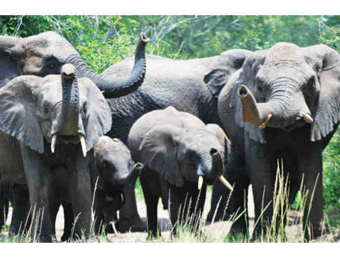 African Safari for 2