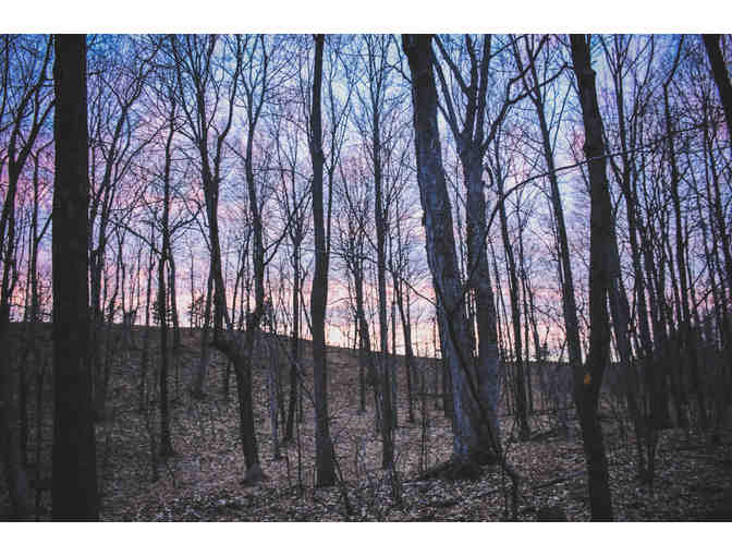 Landscape Photo Collection