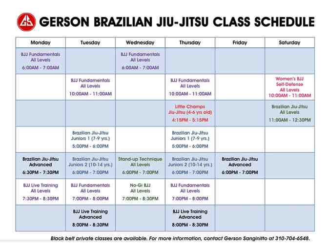 One month of free Brazilian Jiu-Jitsu classes at Gerson Sanginitto BJJ