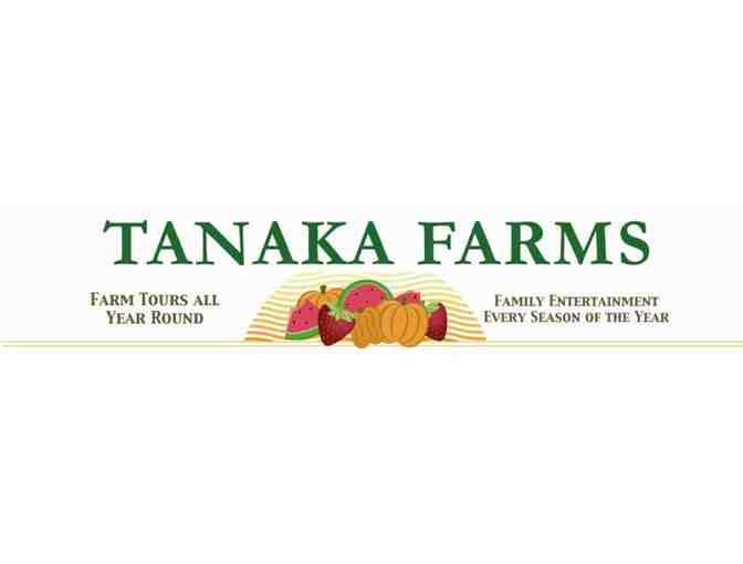 Tanaka Farms - U-Pick Around the Farm Wagon Ride - Photo 1