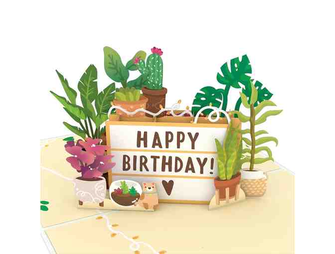 Happy Birthday Pop Up Cards from LovePop: 4 Designs