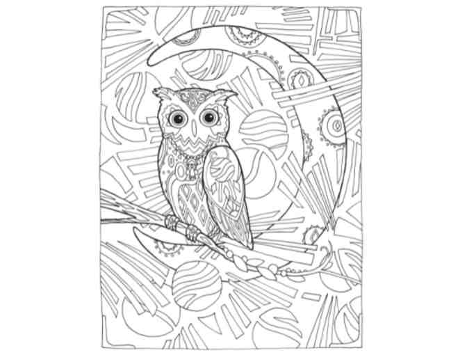 Creative Haven Owls Coloring Book w/ markers & crayons bundle