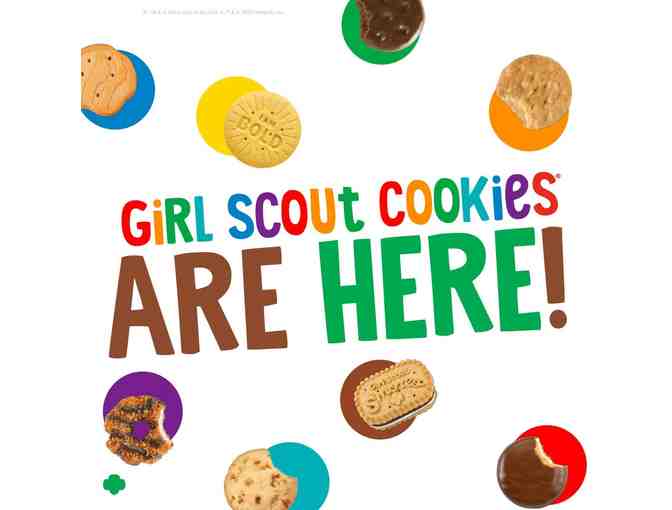 Chocolate Dream: SIX packages of Girl Scout Cookies