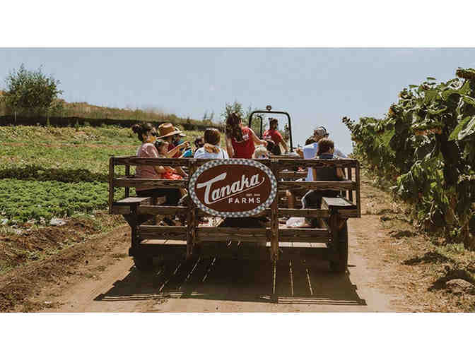 Tanaka Farms - U-Pick Around the Farm Wagon Ride