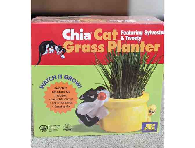 Chia Cat Grass Planter - Sylvester and Tweety