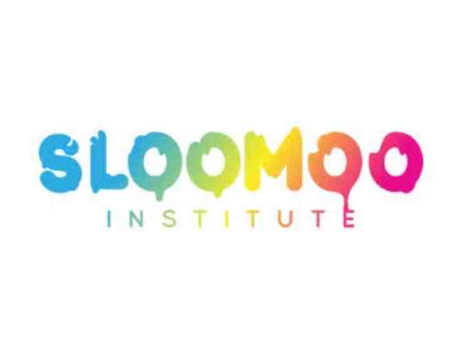$200 Ticket Voucher to the Sloomoo Institute - Photo 1