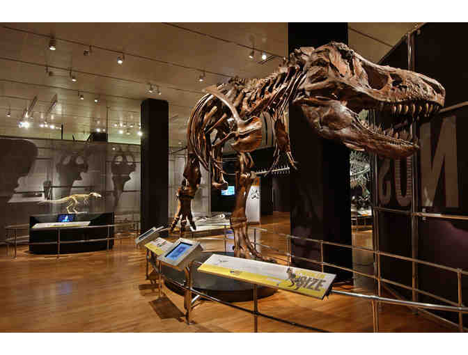 4 General Admission Passes to the San Diego Natural History Museum