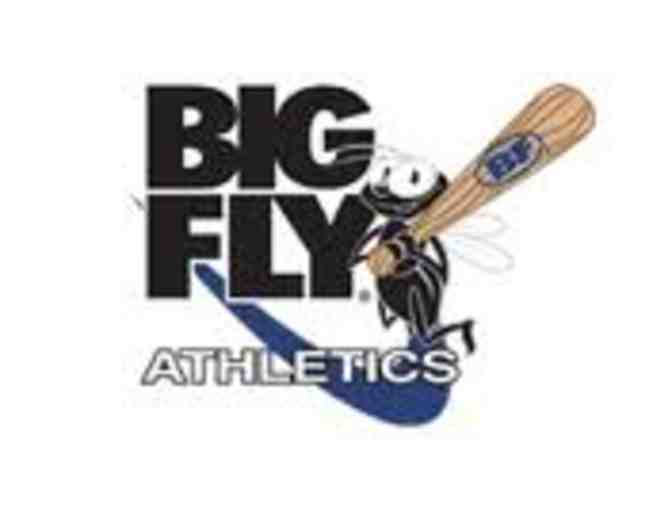 Big Fly Gift Certificate: One Hour Baseball/Softball Lesson