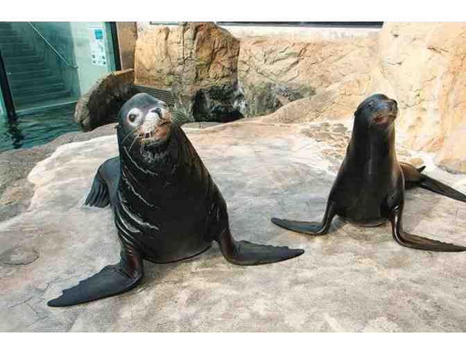 2 Admission Tickets to the Aquarium of the Pacific in Long Beach, California