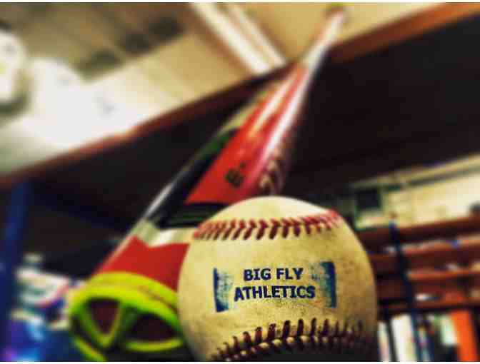 Big Fly Gift Certificate: 1 Day Baseball Camp