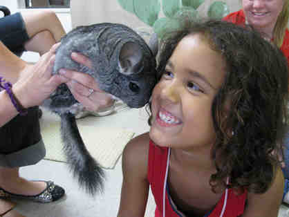 One Week of Critter Camp at the Helen Woodward Animal Center