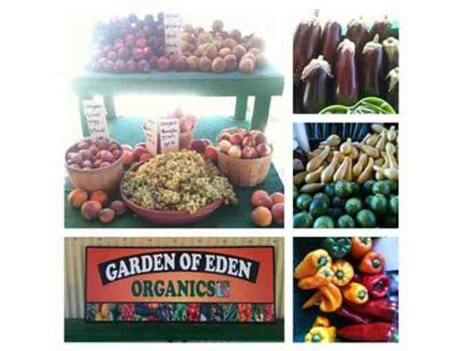 4-week CSA Membership (Large box) with Garden of Eden Organics