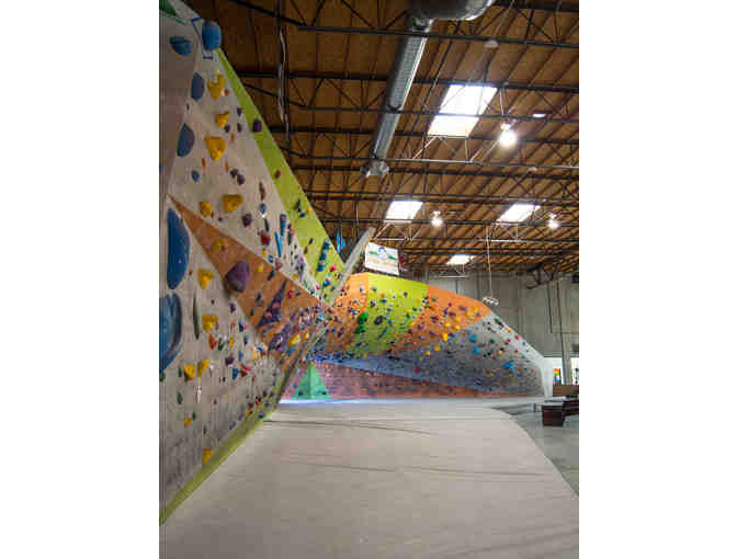 One Month Membership to The Wall Climbing Gym in Vista, California