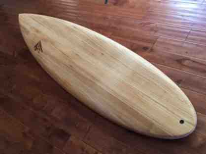 Firewire Surfboard: 6'10" Dominator in TimberTEK