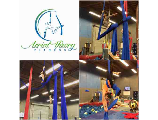 5 Aerial Skills Classes from Aerial Theory Fitness in Vista, CA