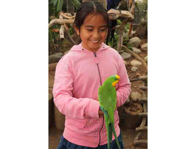 Guided Tour & Admission for 4-6 People at the Free Flight Exotic Bird Sanctuary in Del Mar, CA
