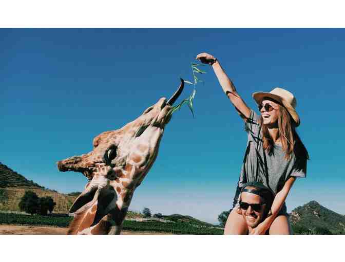 Malibu Wine Hikes - Giraffe Hike for Two (2)