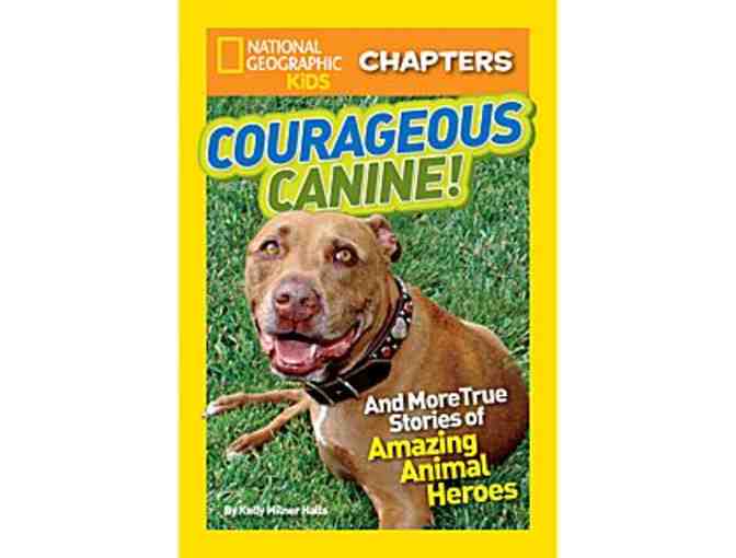National Geographic Kids Chapters Books (3)