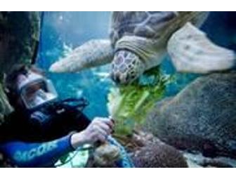 Shedd Aquarium - Family Pass for 4