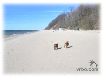 The Hideout Michigan getaway - Weekend Accommodations & 2 bottles of wine