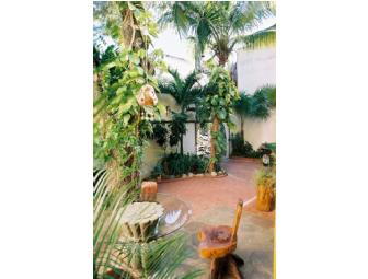 Hilhaven Hotel - Playa Del Carmen, Mexico - Spring get-away for 4