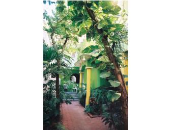 Hilhaven Hotel - Playa Del Carmen, Mexico - Winter get-away for 4