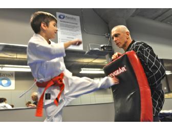 Kensho Martial Arts - One Month Membership