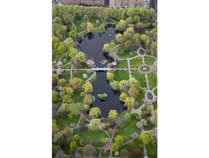Boston Public Garden Deluxe Private Tour
