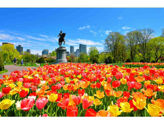 Boston Public Garden Deluxe Private Tour