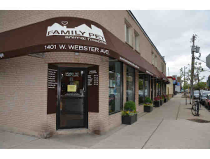 Shadow 'Day in the Life' of a Veterinarian: with Family Pet Animal Hospital