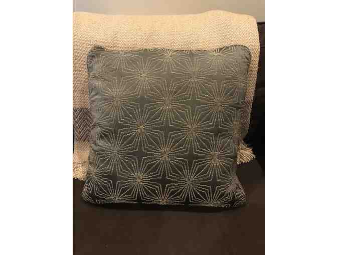 Accent Pillows and Chenille Throw