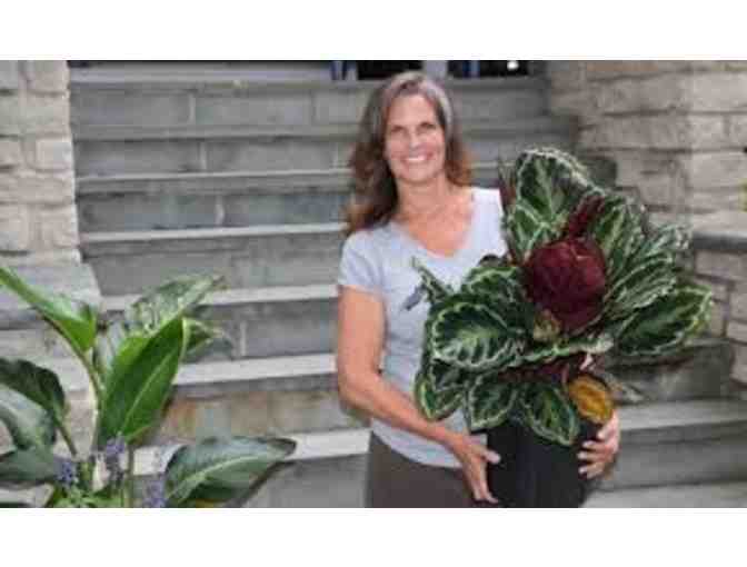 Spring is Here, Get Your Garden Growing