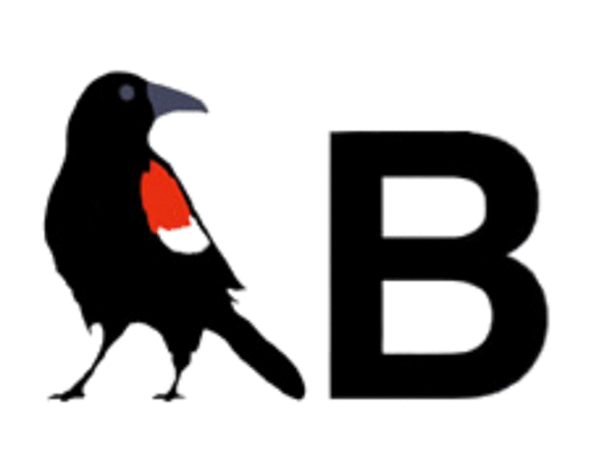 Thomas Kincaid Wrigley Field Framed Print