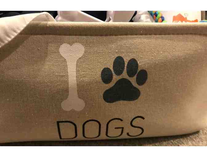 Physical Exam for Your Pet plus Doggie Gift Bag