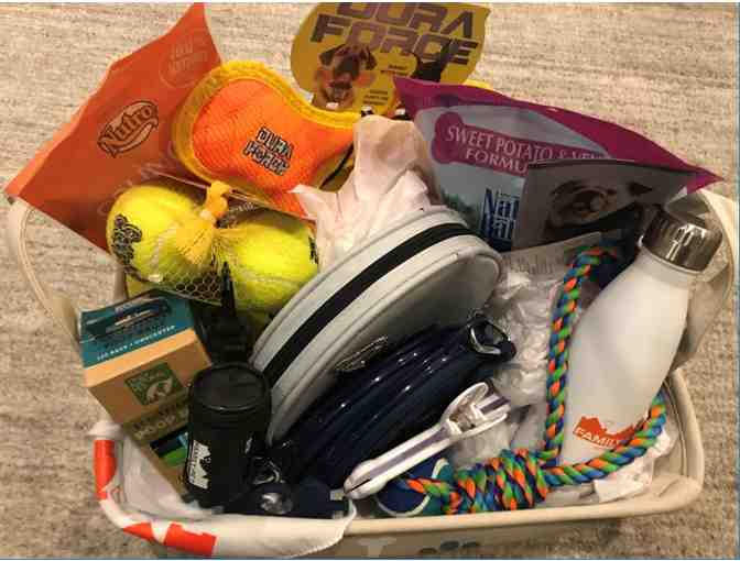 Physical Exam for Your Pet plus Doggie Gift Bag