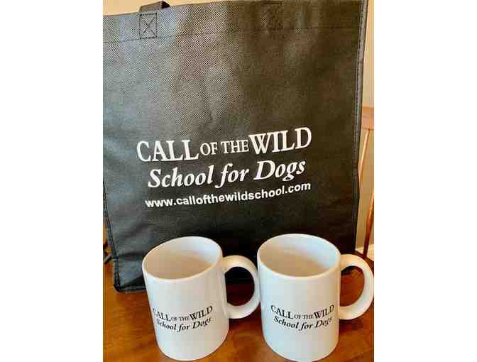 Premier Dog Training at Call of the Wild School for Dogs