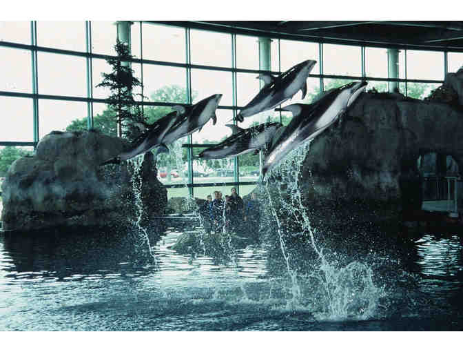 Shedd Aquarium - 4 Shedd Pass Tickets