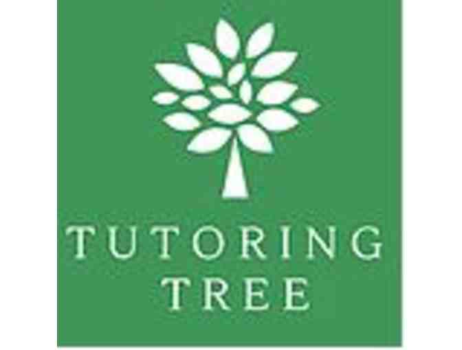 Two- 60 Minute Tutoring Sessions with Tutoring Tree