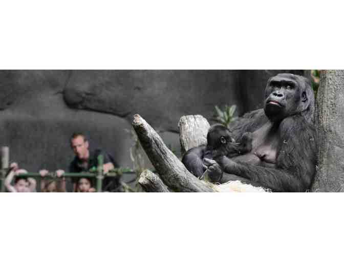Brookfield Zoo: Four General Admissions Tickets Plus All Attractions and Parking - Photo 1