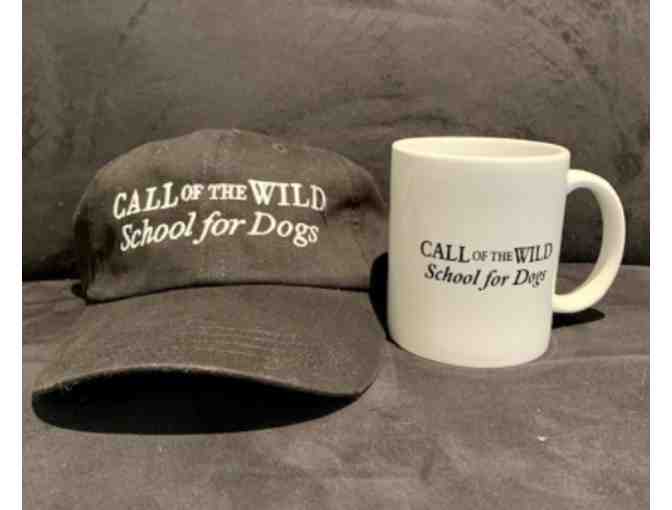 Premier Dog Training at Call of the Wild School for Dogs